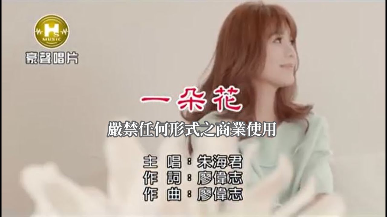 朱海君-一朵花【KTV導唱字幕】
