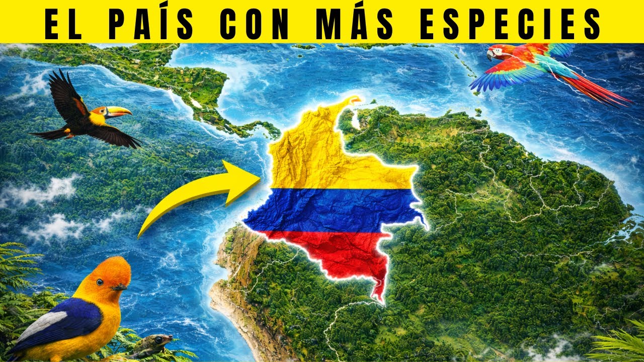 COLOMBIA: La Tierra de los Mil Colores y el País con Más Especies del Mundo