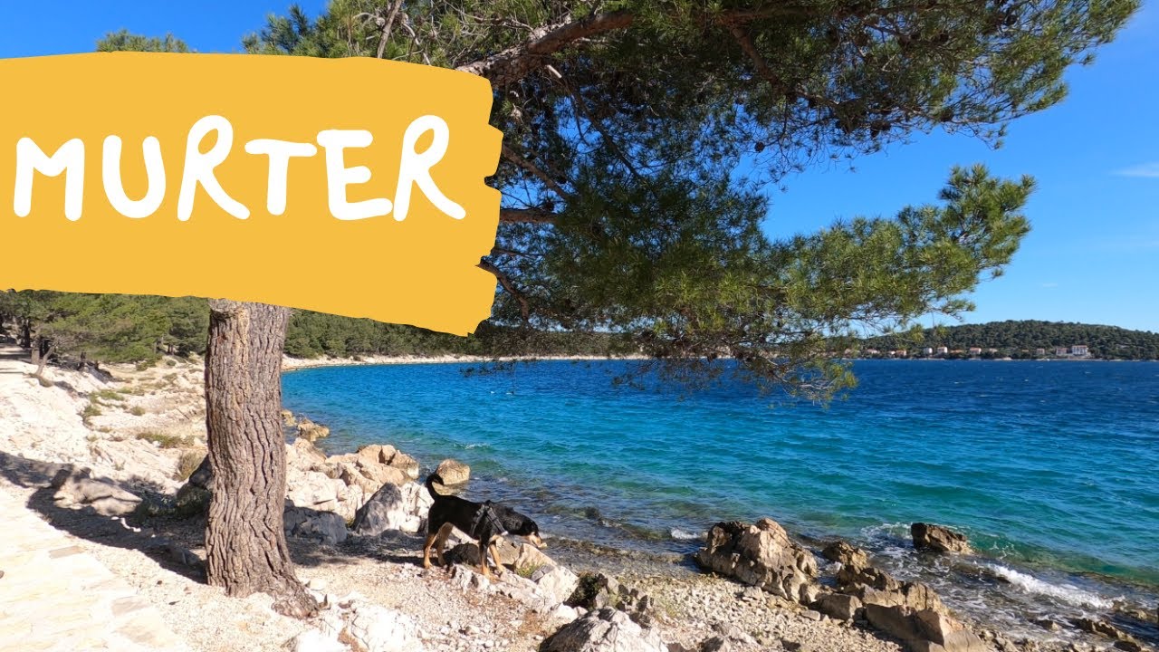 MURTER CROATIA // spring vacation with dogs 4K GOPRO