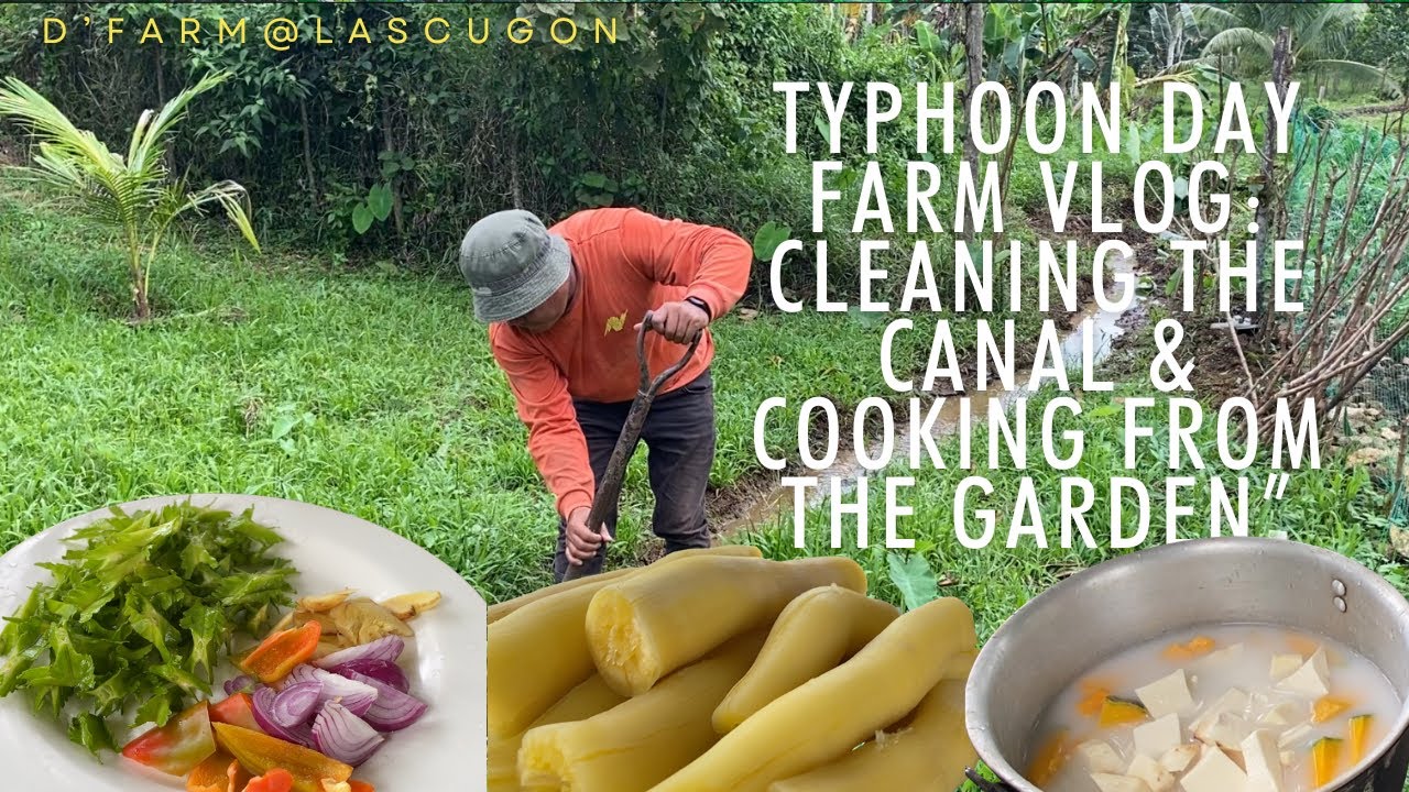 Typhoon Day  Farm Vlog: Cleaning the Canal & Cooking from the Garden