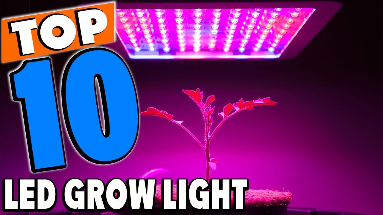 Top 10 Best Led Grow Lights Review in 2025