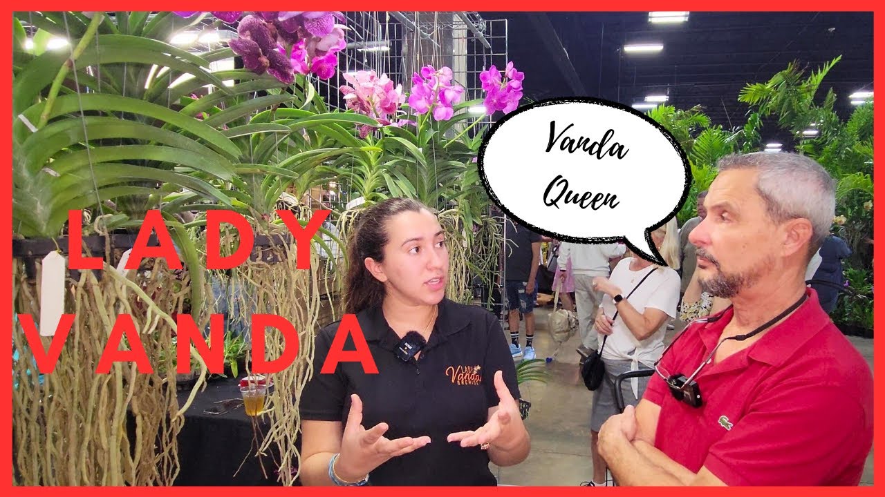Lady Vanda shares it all. How to fertilize vanda orchids.