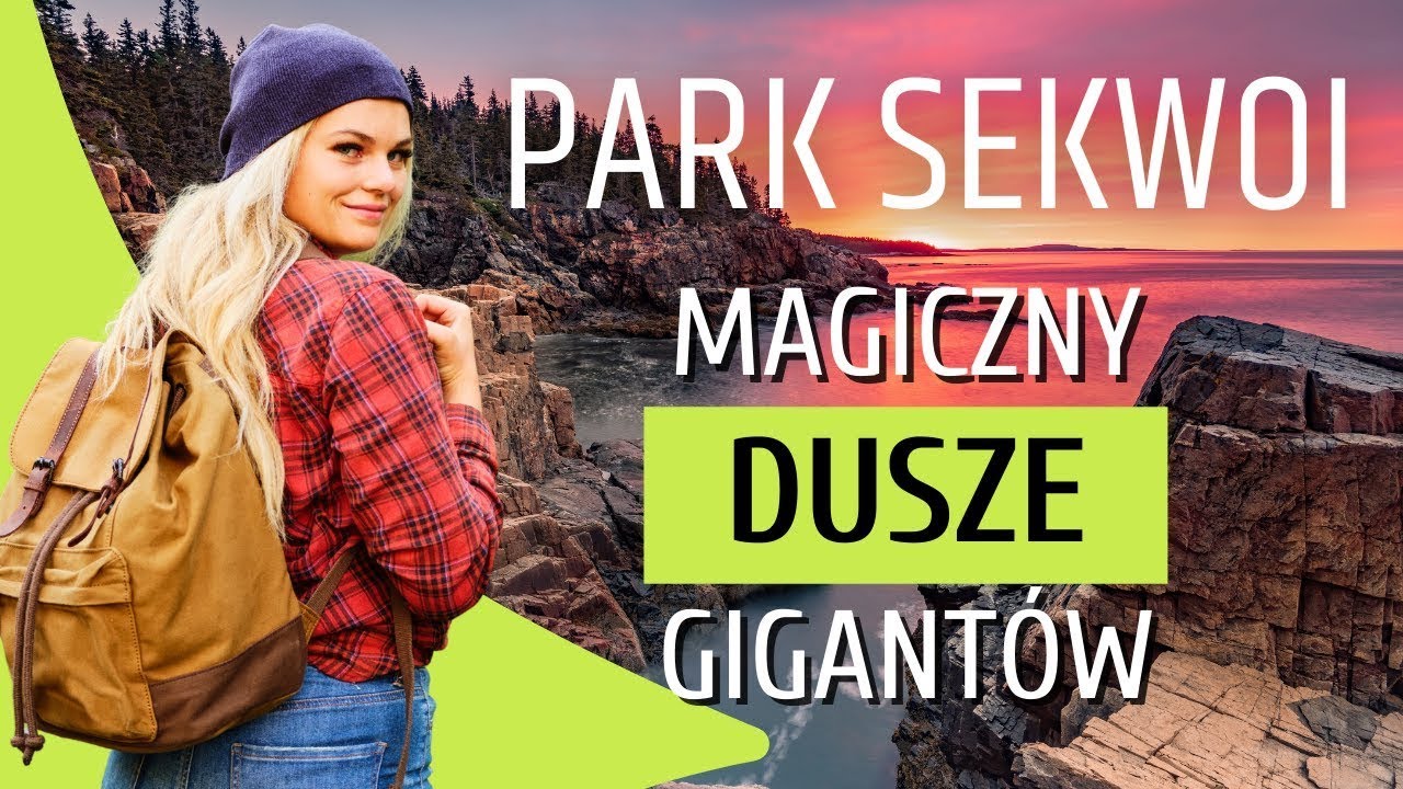 PARK SEKWOI 🌳 Majestatyczna I Zachwycająca Natura USA 🌳| Zen Futura