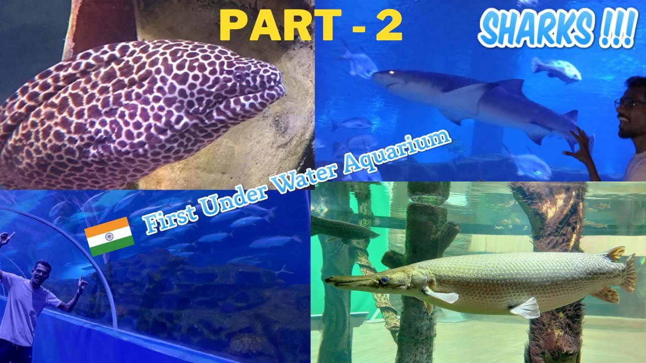PARADISE FOR FISH LOVERS (PART-2) | VGP AQUARIUM ( HINDI ) | PLACES TO VISIT | CHENNAI