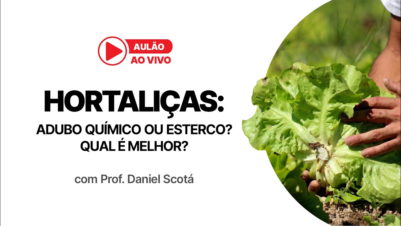 HORTALI&Ccedil;AS: Adubo qu&iacute;mico ou esterco? Qual&nbsp;&eacute;&nbsp;melhor?