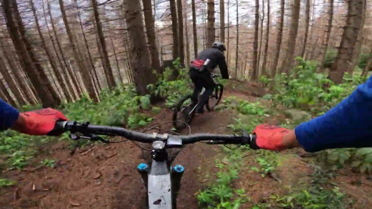 Oker-Trails Harz