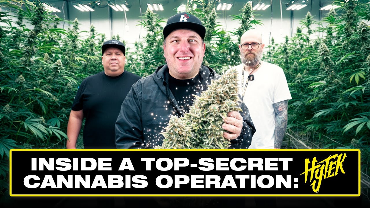 They Let Us Inside the Most Secretive Grow in Michigan: HYTEK Tour