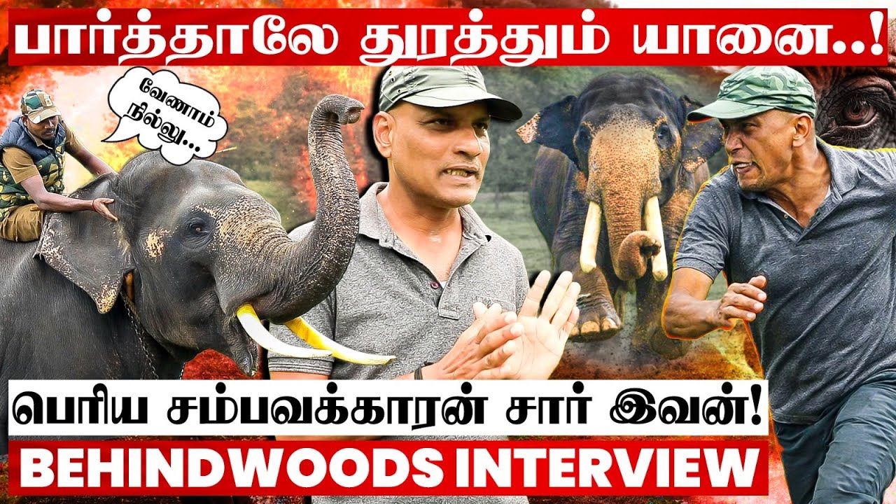 74 வயசுல கம்பீரமா நிற்கும் யானை..😯 காட்டையே அலறவிட்ட சம்பவம்..! பதை பதைக்கவைக்கும் பேட்டி