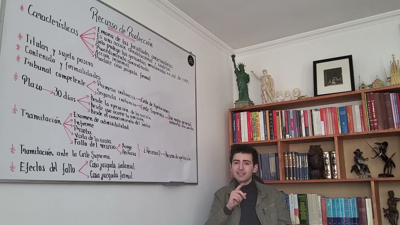 Recurso de Protección (acción constitucional de protección)