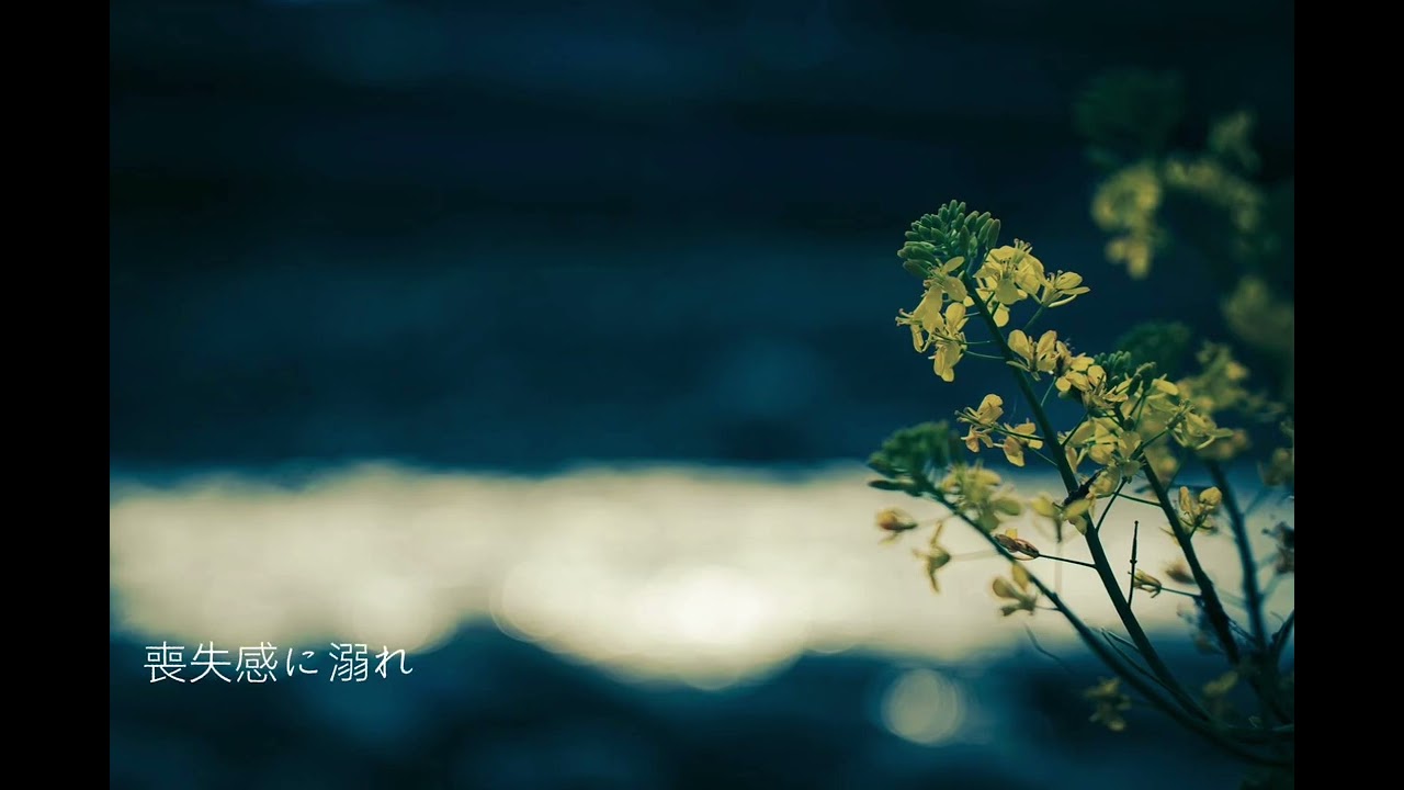 白／GUMI