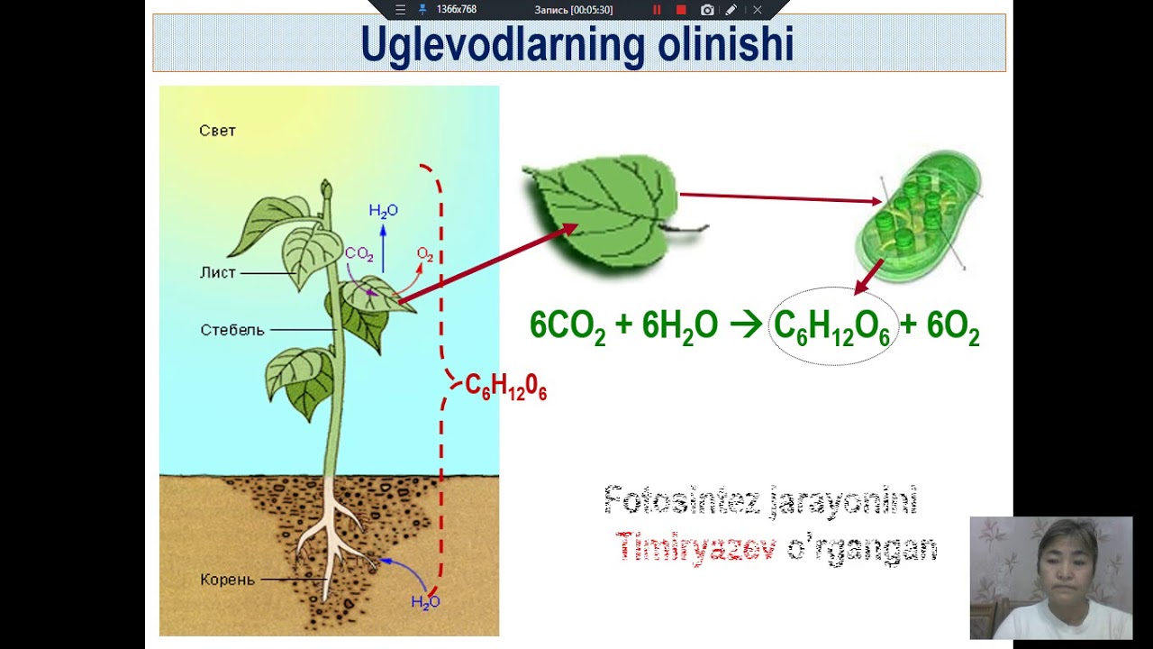 Mavzu: Uglevodlar.