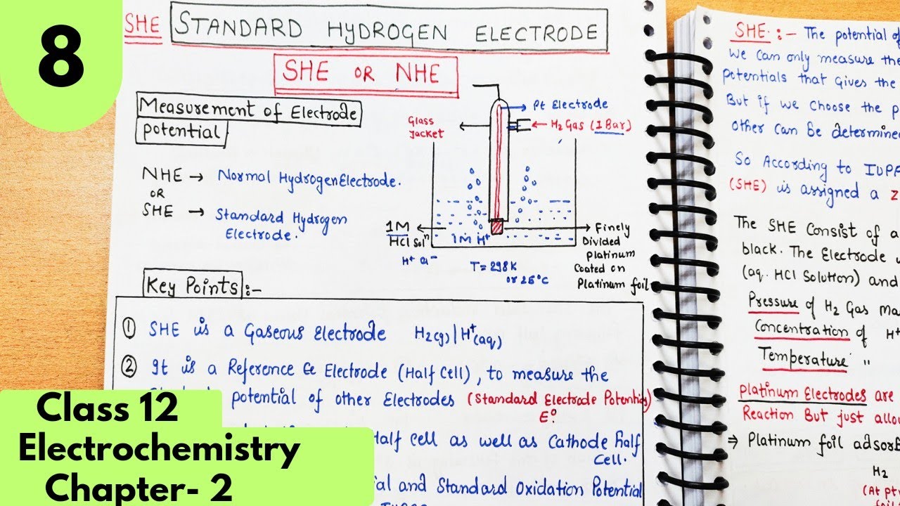 Standard Hydrogen Electrode (SHE)|calculate Standard Electrode potential Electrochemistry class12