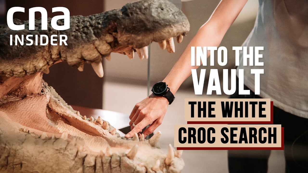 Legend Of The White Crocodile: Can It Still Be Found In Singapore? | Into The Vault 3 | Full Episode