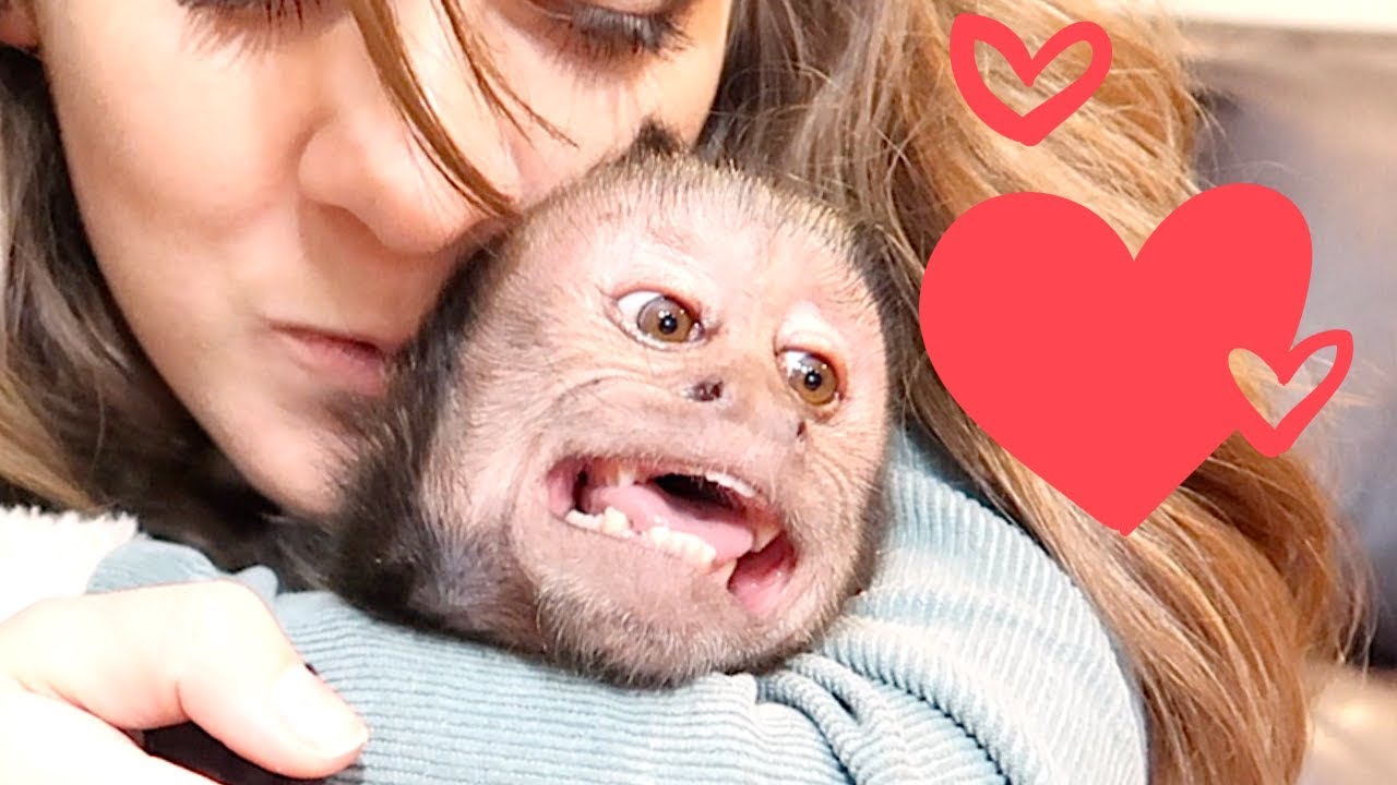 Monkey Excited to See Sister! (FREAK OUT)