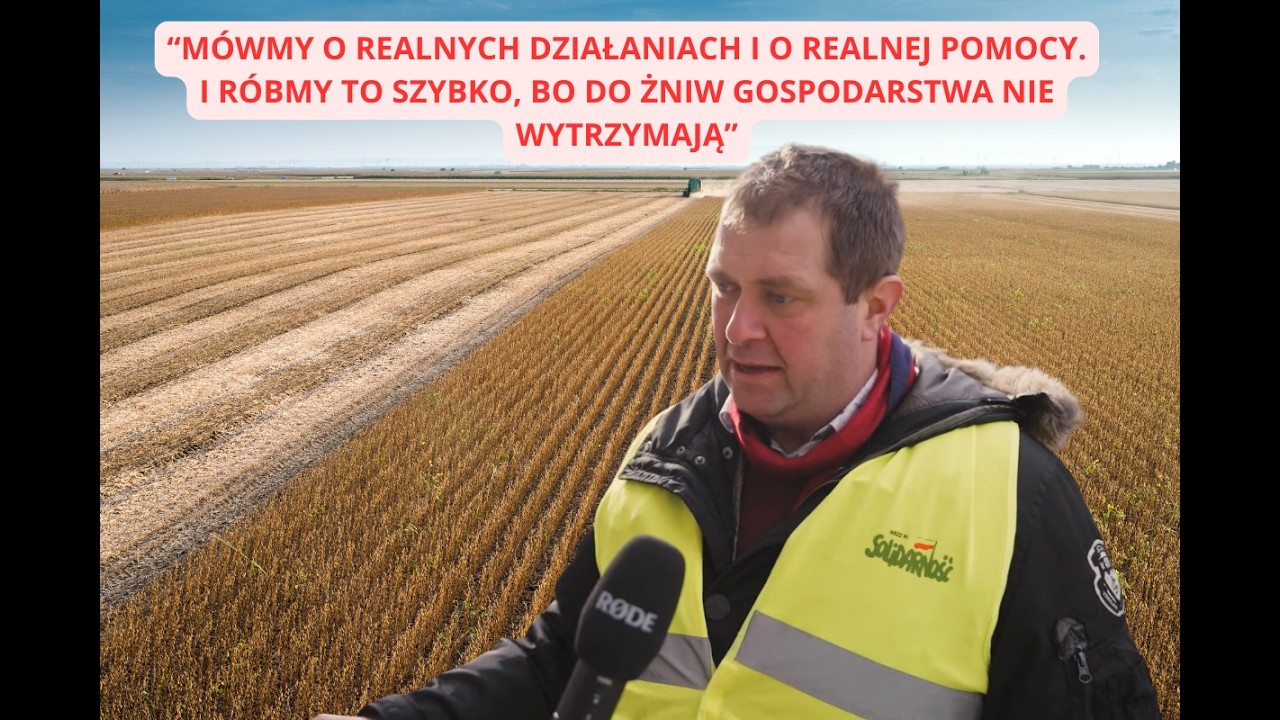 Pszenica po 630 zł/t, koszty 900 zł/t. Rolnicy: do żniw nie wytrzymamy