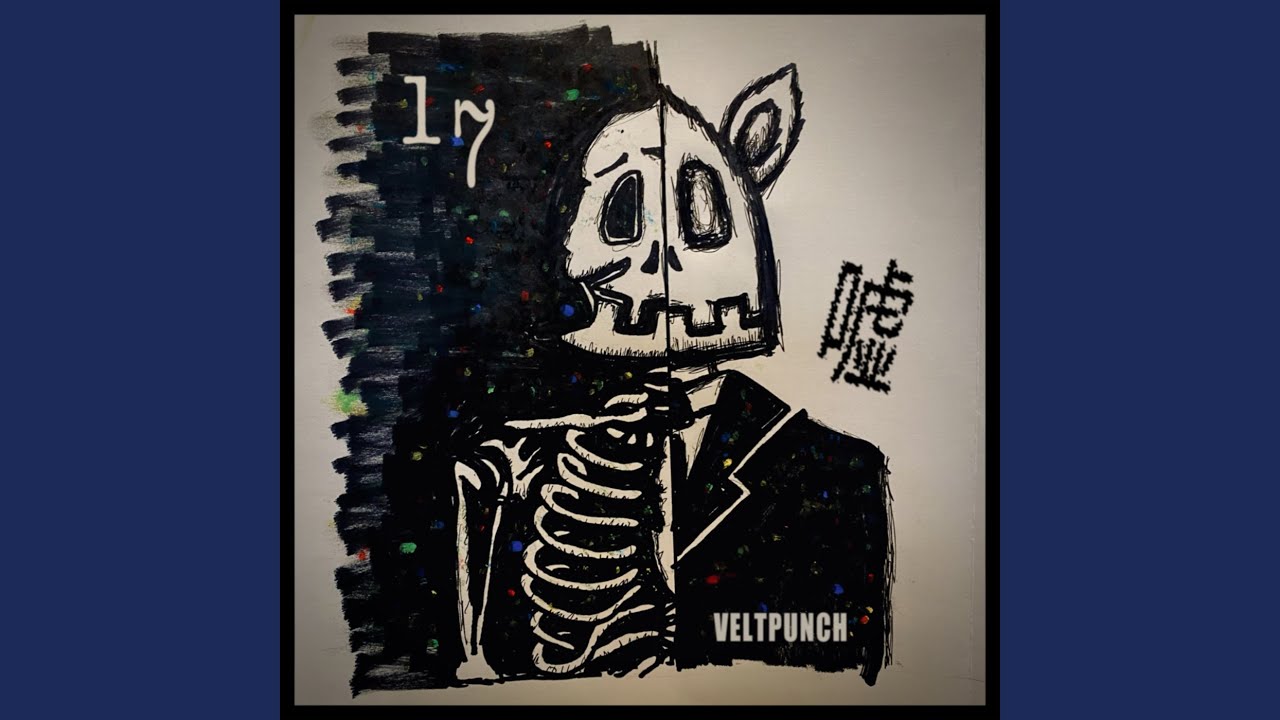 17歳