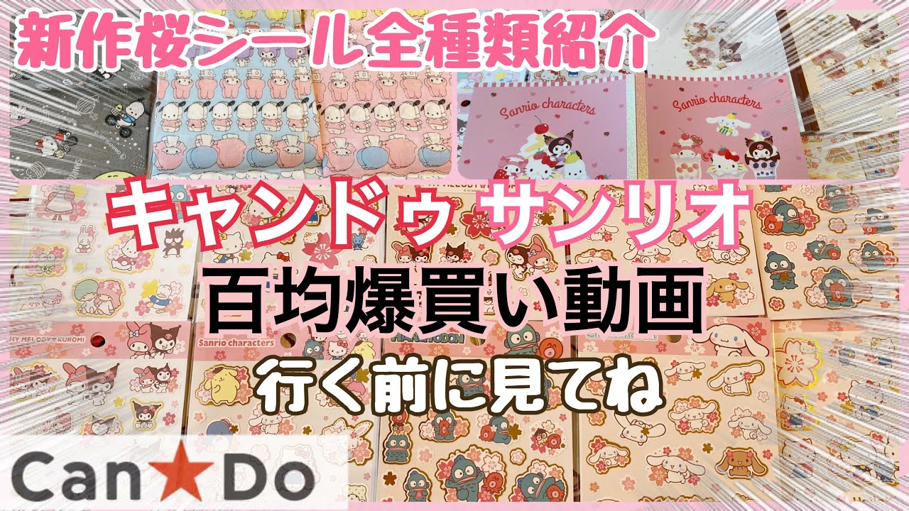 【SANRIO💖】キャンドゥからサンリオ新作グッズ出た⋈*.。百均クオリティ高すぎ❣️桜シール2024年版全種類紹介🌸💖新作ノートのデザインKAWAII💕シール収納.シール帳🐶❤️