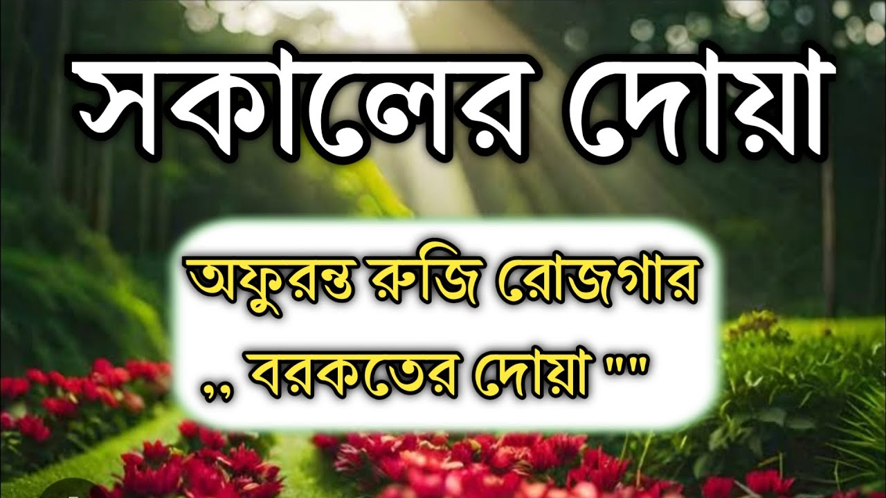 সকালটা শুরু হোক হৃদয় শীতল করা বরকতময় আয়াত দিয়ে। সকালের দোয়া ও জিকির। Morning Dua l By Alaa Aqel