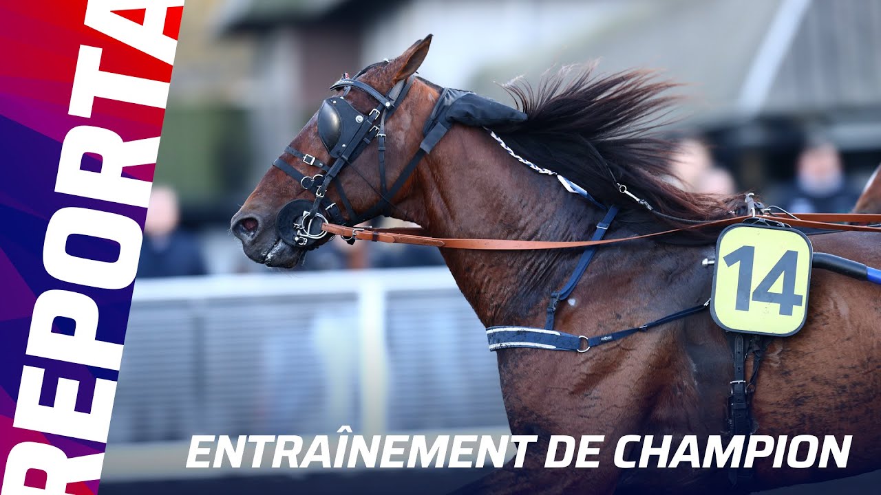 CLÉMENT DUVALDESTIN VA DÉFENDRE SON TITRE AU SULKY DE LOVINO BELLO I Reportage Prix d'Amérique