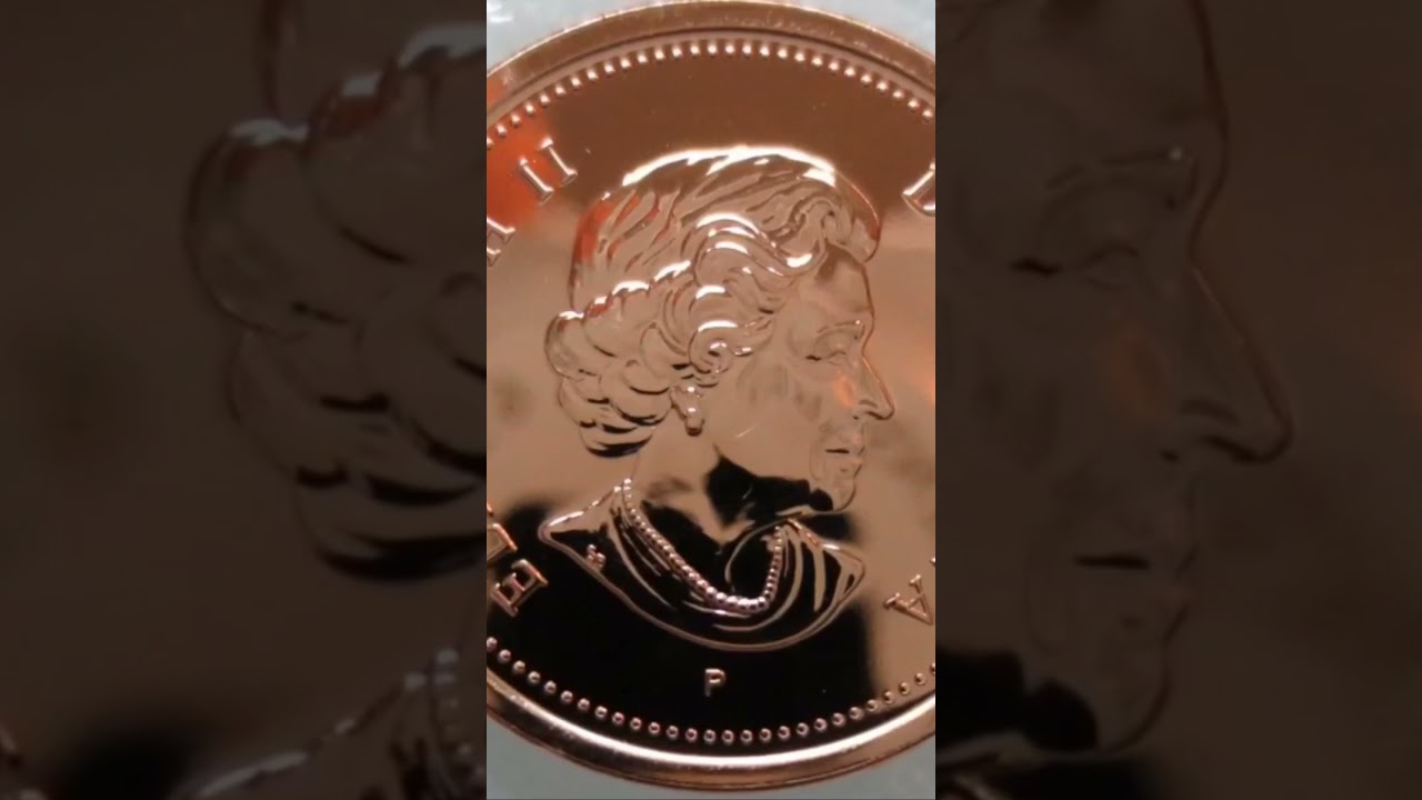 2006 Penny Has Six Varieties and some of them are more valuable.