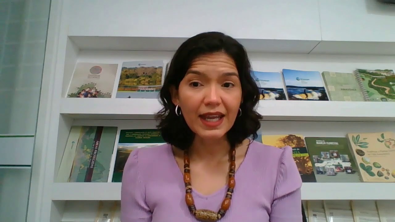 Amazon Forest Landgrabbing, Amnesty and Deforestation | Brenda Brito | TEDxAmazonInvestorCoalition