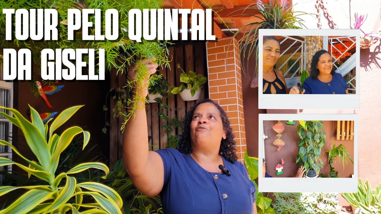 TOUR PELO QUINTAL DA GISELI: Plantas de Sombra, Palmeiras, Jibóias, Filodendro-brasil e muito mais
