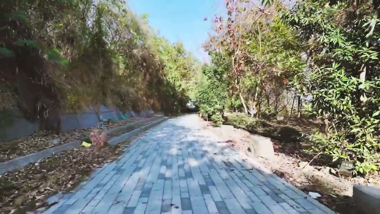 那條小徑2
