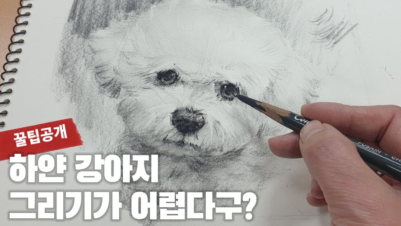 하얀 강아지 쉽게 그리는 두가지 비결 알려줄께! | 왕초보를 위한 꿀팁 공개