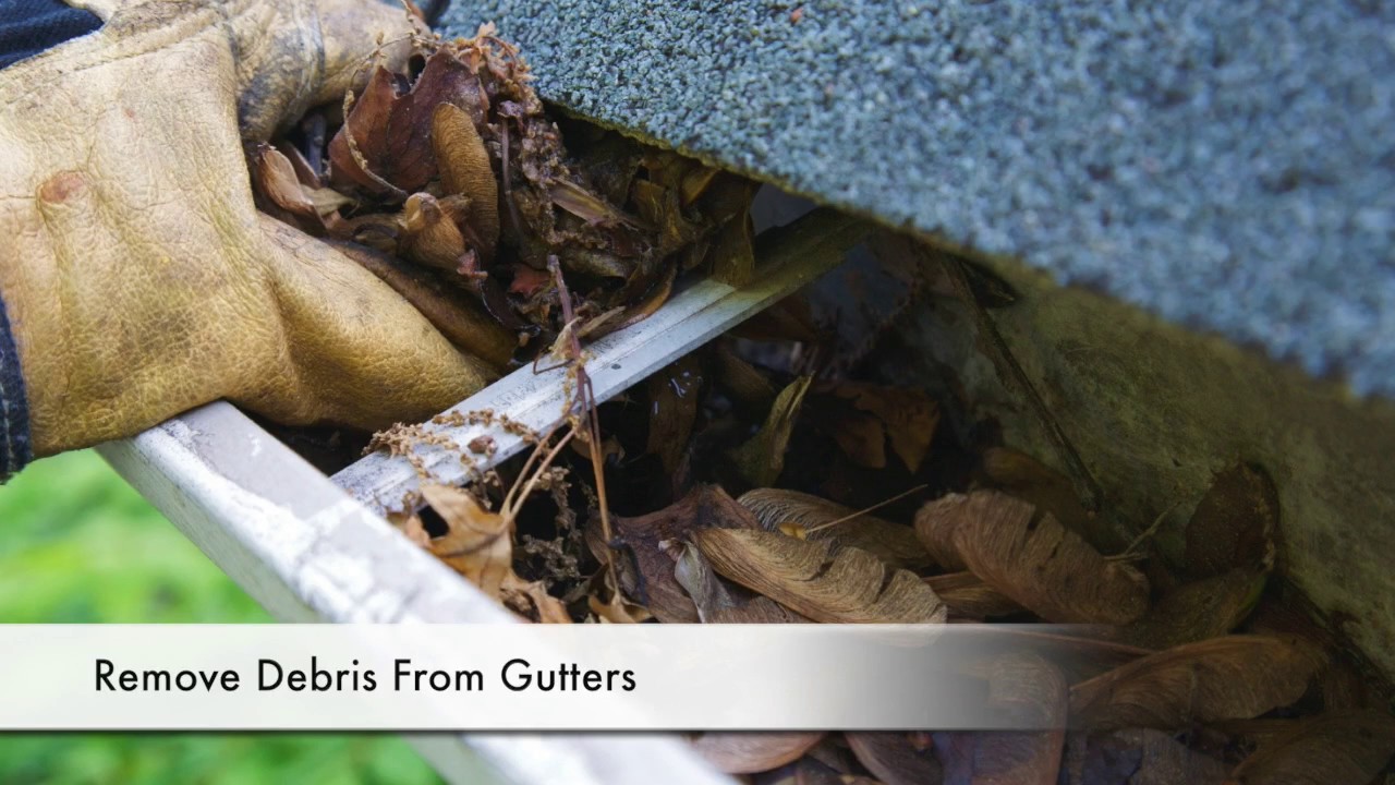 Spring Home Maintenance Tips