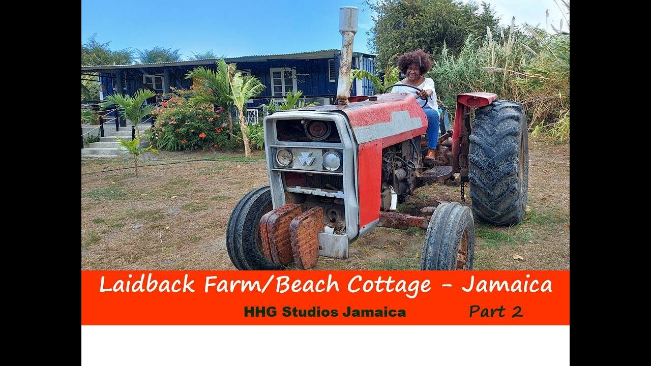 Laidback Farm/Beach Cottage - JAMAICA || Part 2 || 40ft Container Tiny Home