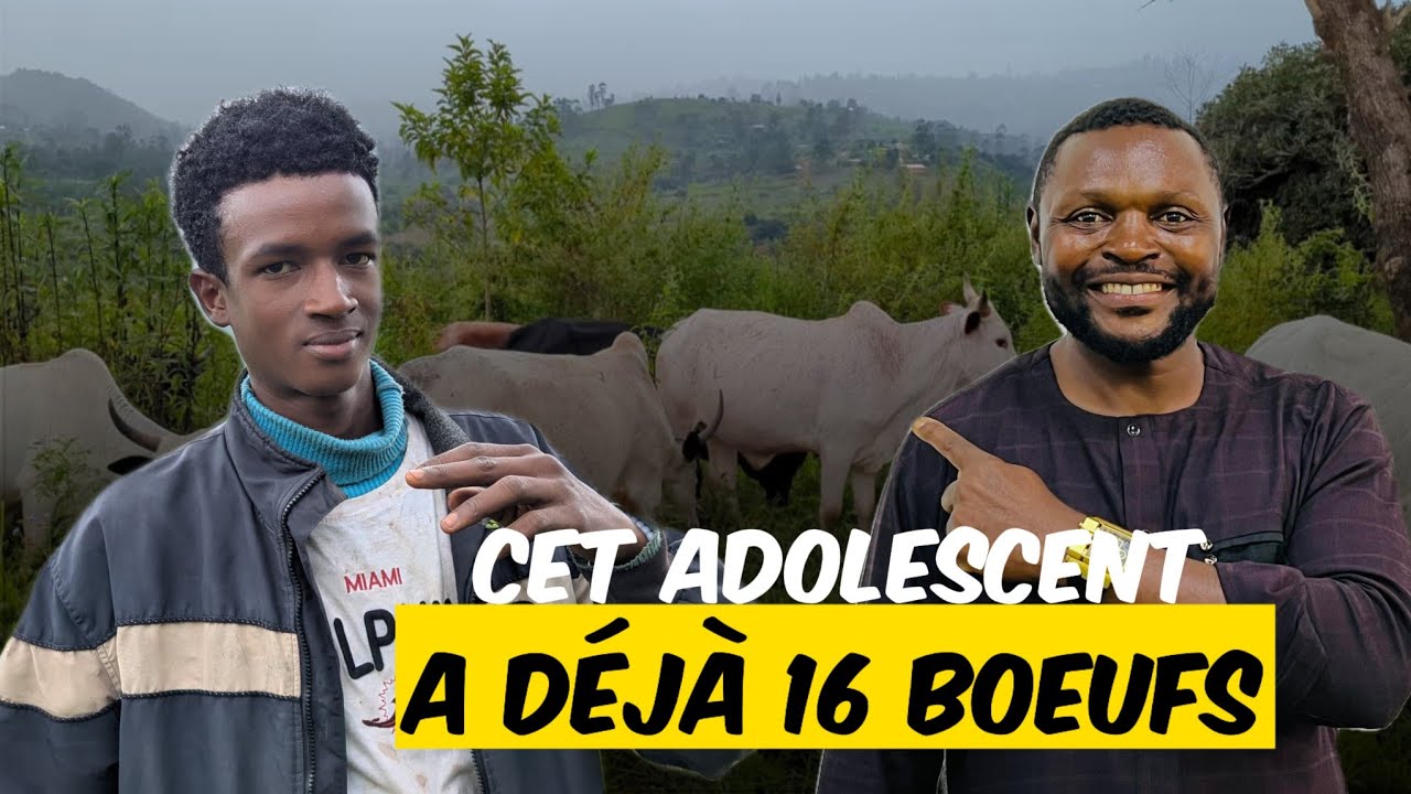 Incroyable! Cet adolescent la quinzaine sonnée, possède déjà Seize boeufs 