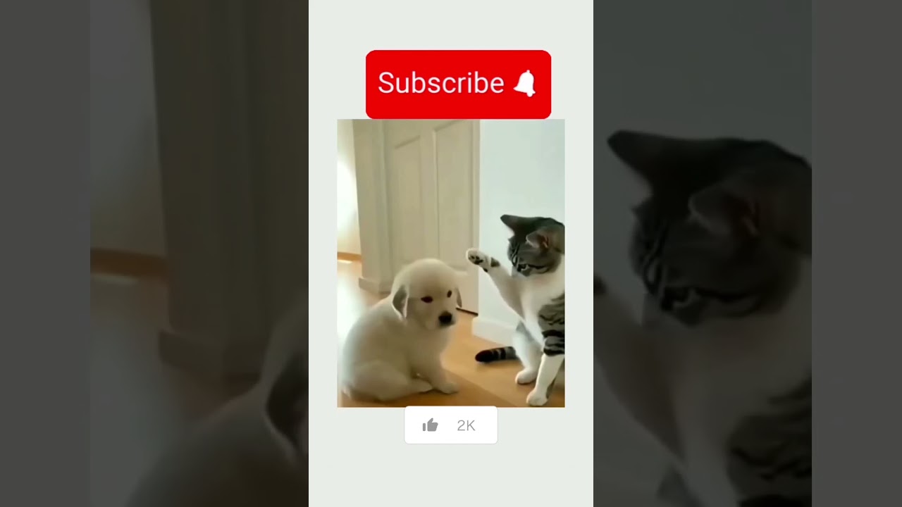 The Ultimate Funny Voice Remix Compilation! (Try Not To Laugh) 🤪