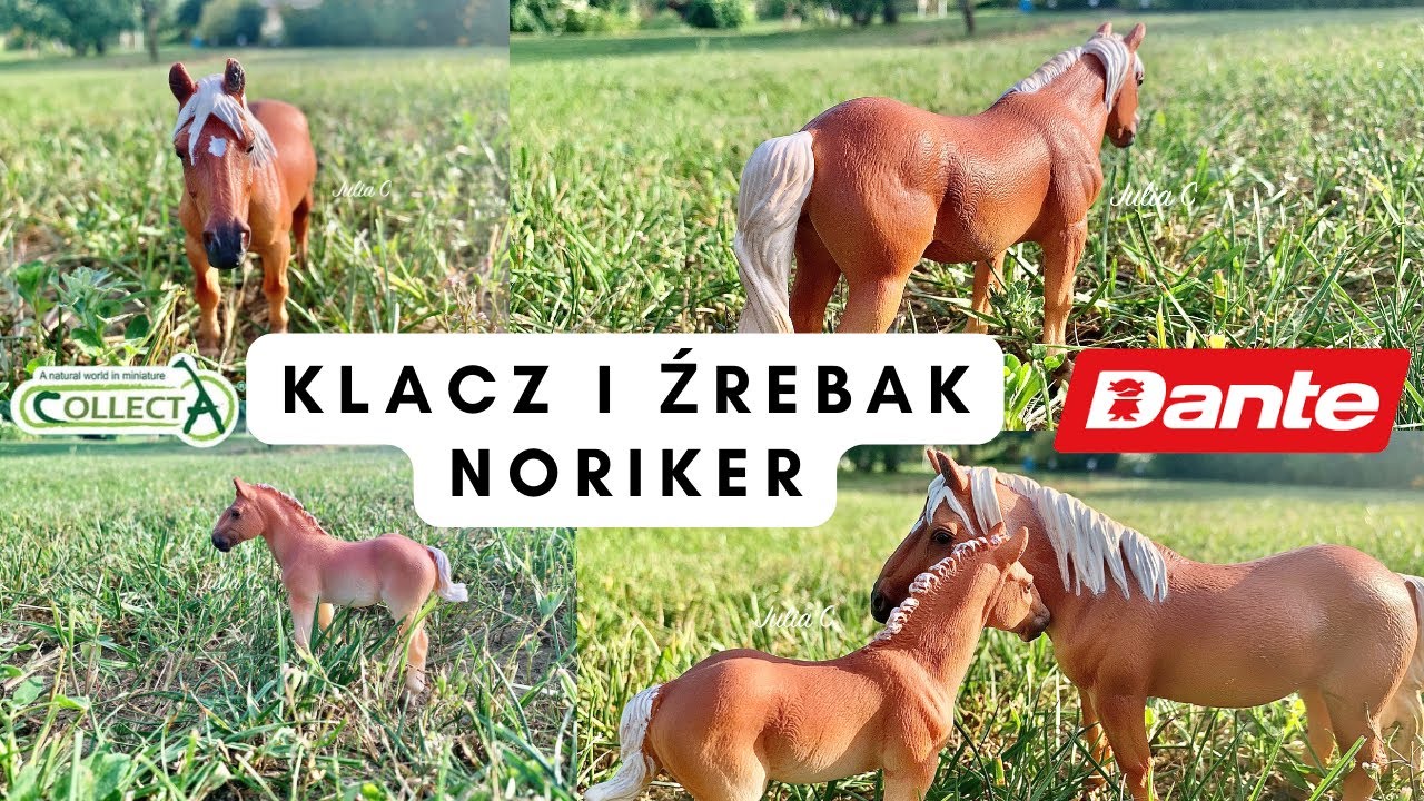 Recenzje figurek koni #259 - Klacz i źrebak Noriker (CollectA 2022) 🥰❤️🐎