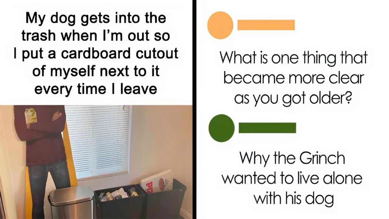Memes So Random and Funny, They Instantly Lift Your Mood