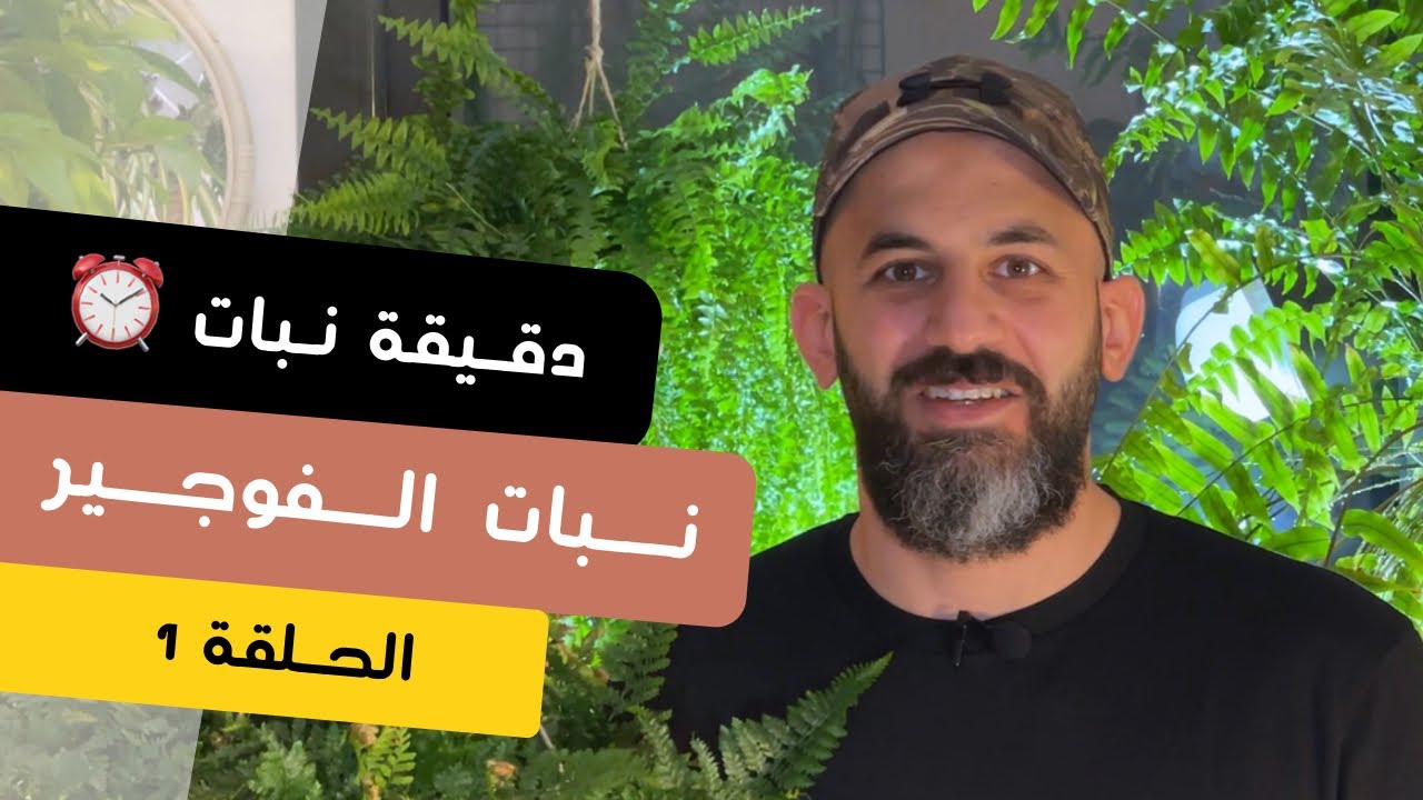 دقيقة نبات |١| طرق العناية بنبات الخنشار/الفوجير
Ferns care - quick tips
