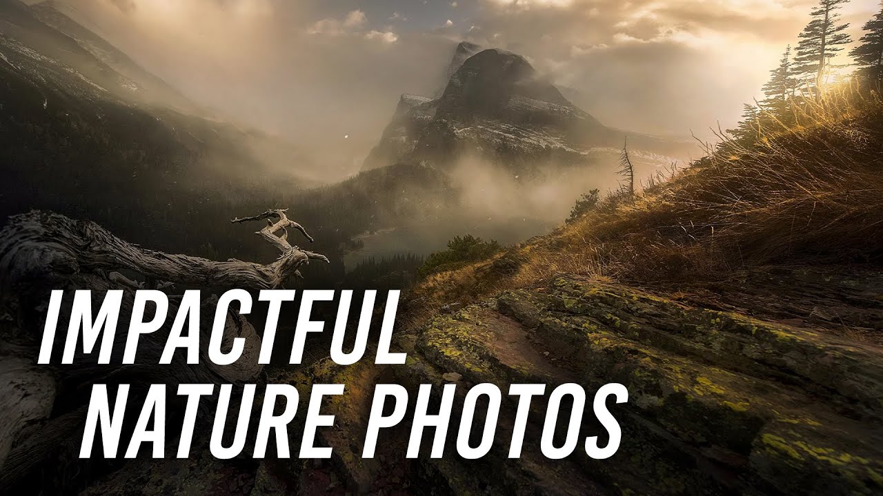 5 Tips to Improve Your Nature Photography