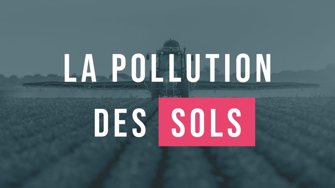 15 minutes pour comprendre facilement la pollution des sols