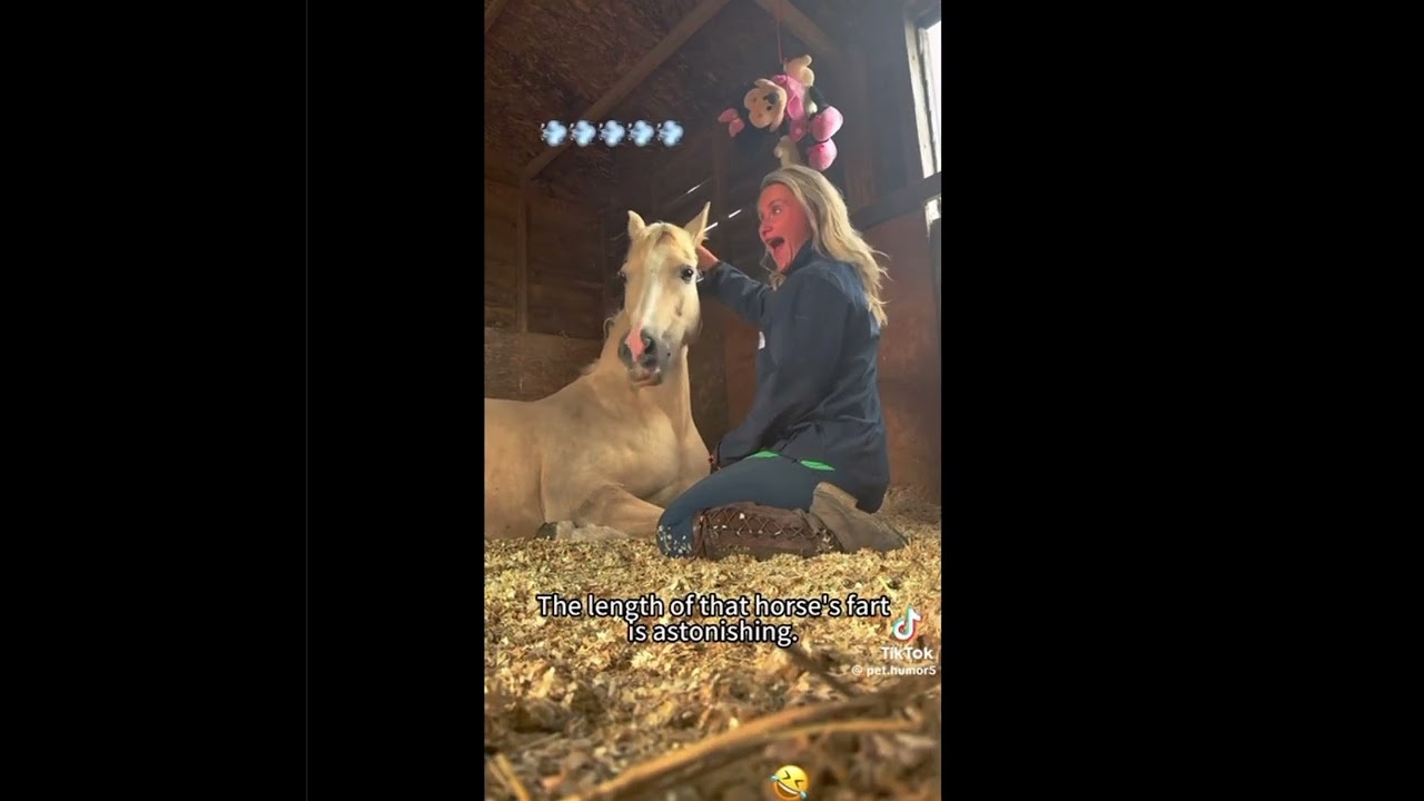 TikTok Horse 2026