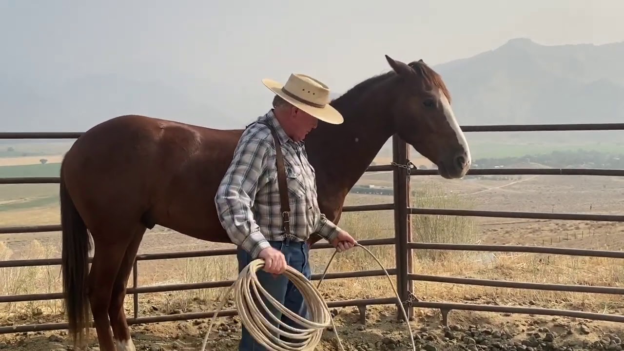 How to Rope Your Horse’s Feet When You Don’t Know How to Rope
