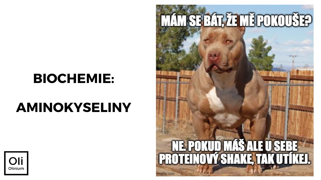 Aminokyseliny - biochemie