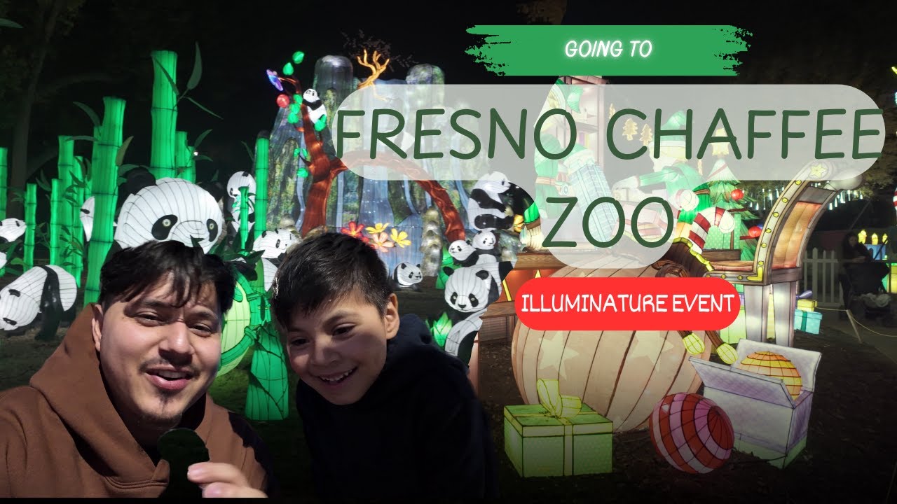 Illuminature at Fresno Chaffee Zoo! ALL OF THE LIGHTS!!!!