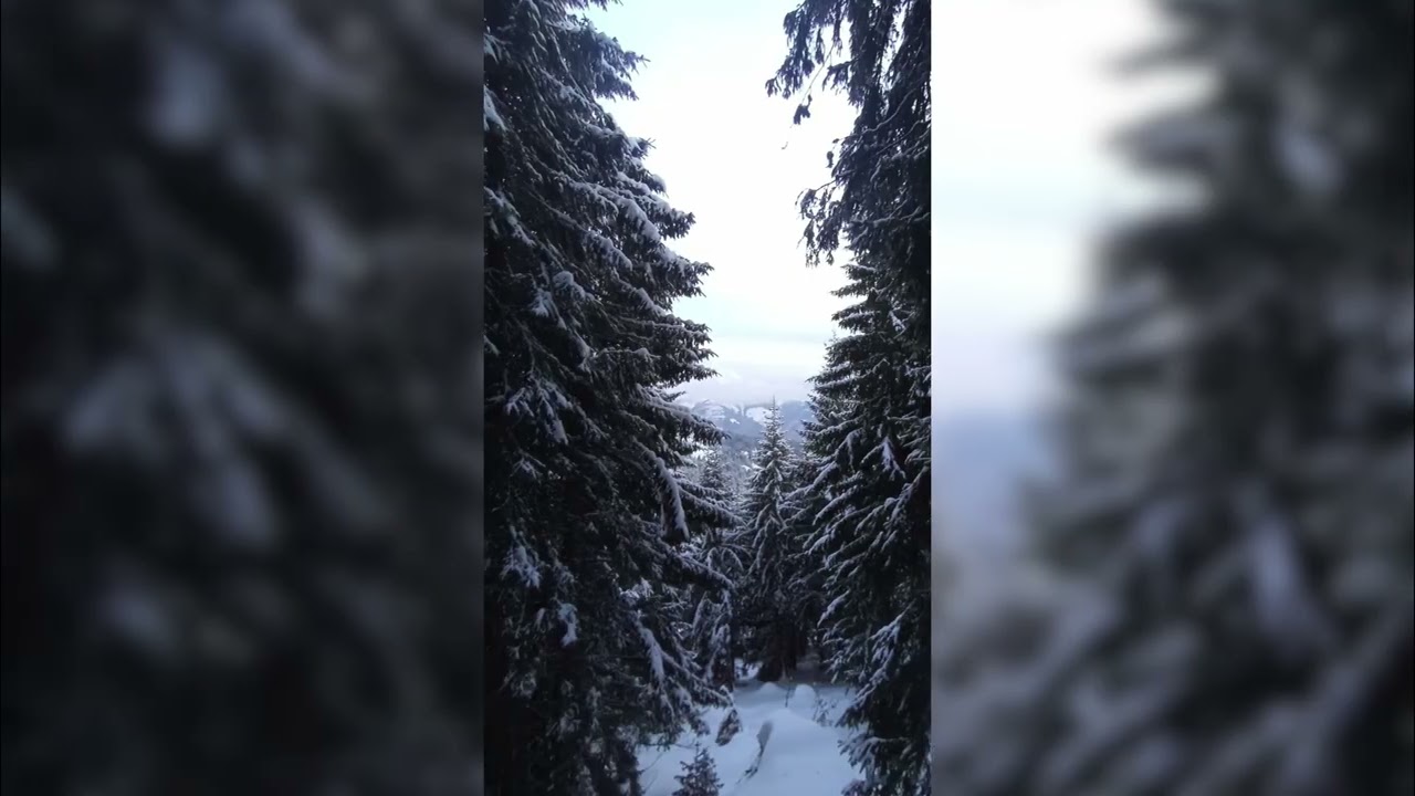 Сніг, туман і річки: неймовірна пригода в горах Мармаросах та на кордоні