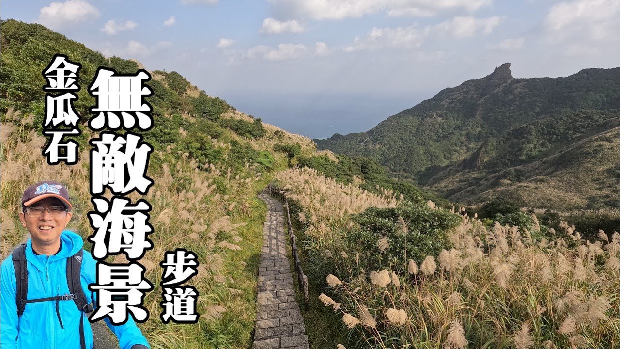 金瓜石無敵海景步道, 芒花大爆發！草山戰備道路輕鬆賞芒