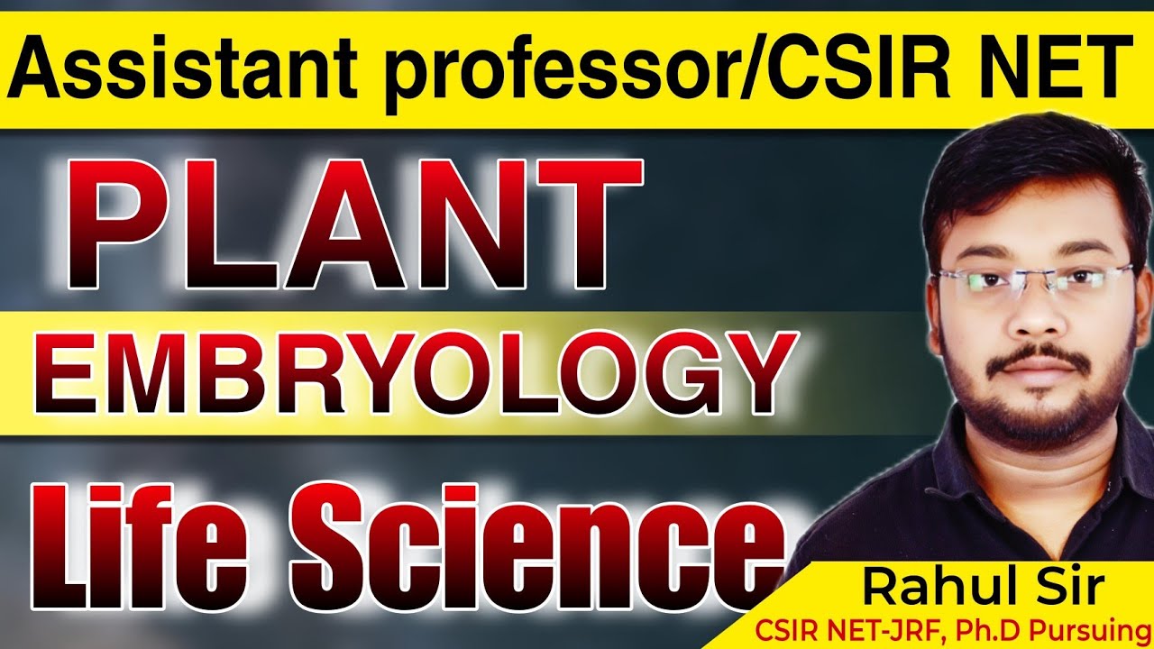 Assistant professor | CSIR NET | Pant Embryology | Life science