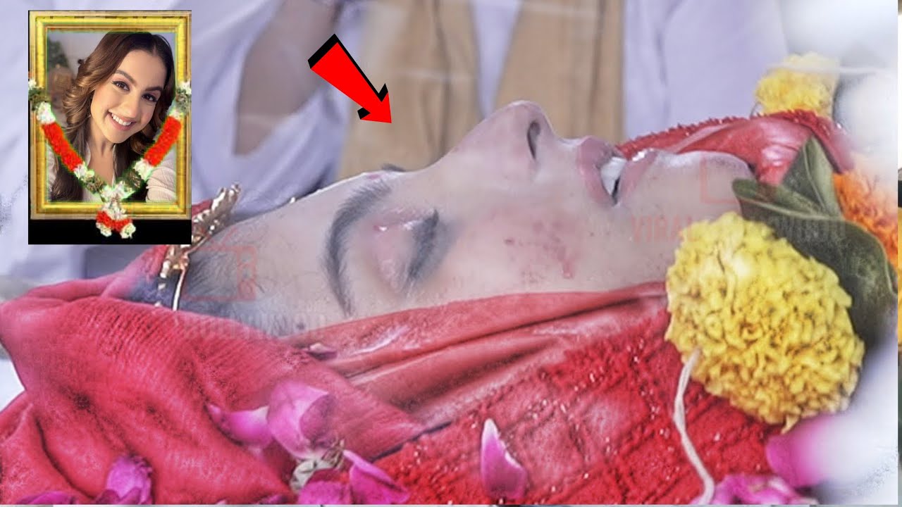 Tunisha Sharma कितनी ख़ूबसूरत लग रही है  दुल्हन की तरह लाल साड़ी में LIVE | #tunishasharma