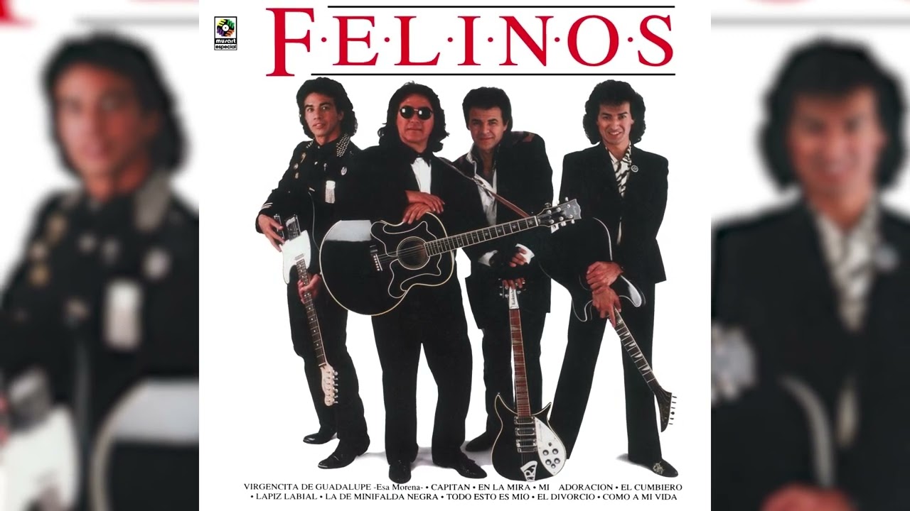 Los Felinos - Como A Mi Vida (Visualizador Oficial)