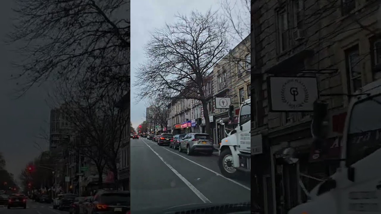 Brooklyn NY Washington Ave 