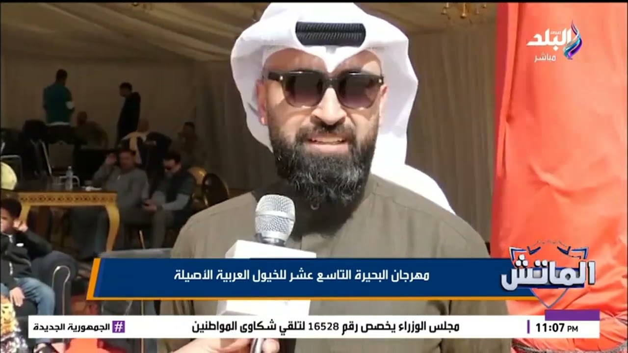 مهرجان البحيرة التاسع عشر للخيول العربية الأصيلة
