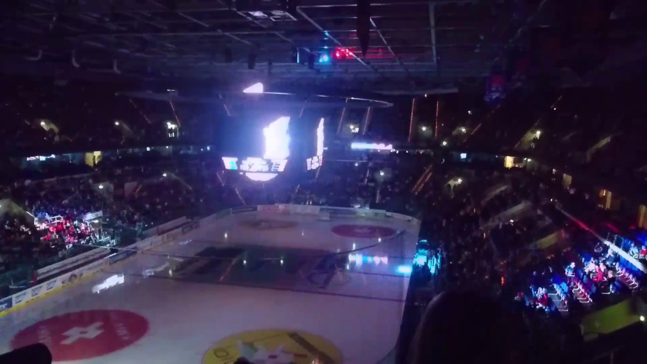 Lightshow Adler Mannheim bei Major Tom
