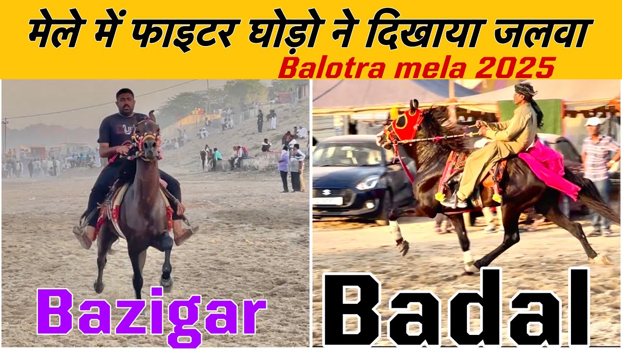 Tilwara Mela Balotara 2025 | Horse fights one better than the other | #balotrapashumela2025 #horse